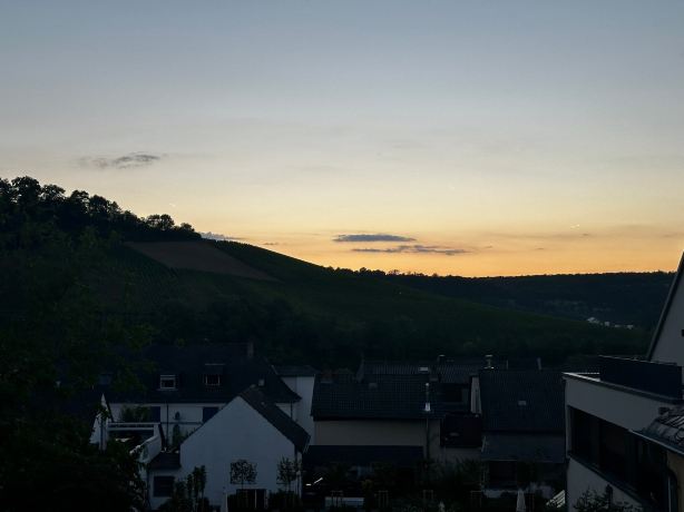 Weingut Und Gästehaus Apel-旅行者