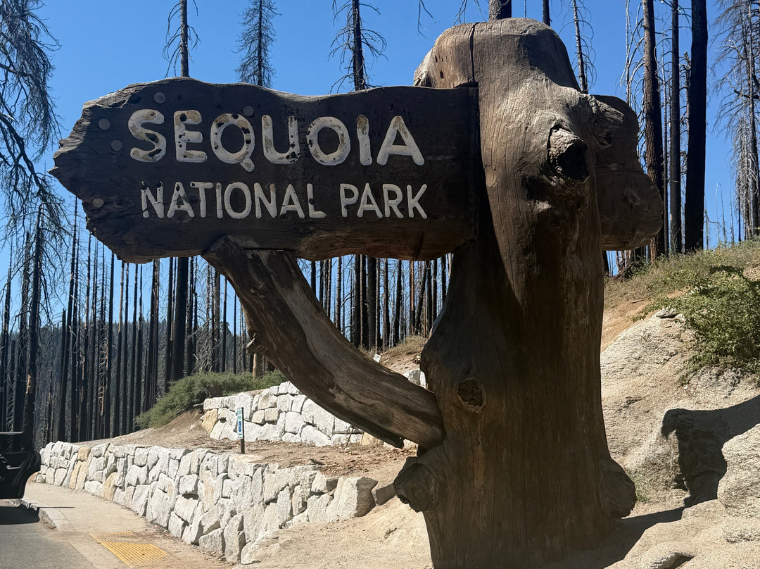 Sequoia National Park-维塞利亚必去景点