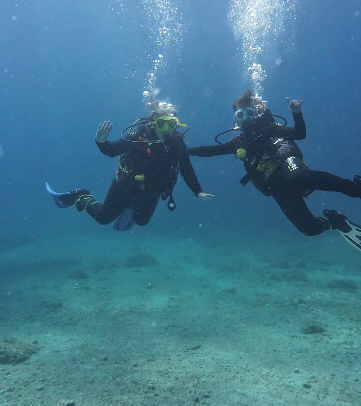 La Sirena Diving Center-L'Estartit必去景点