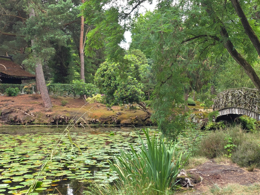 Tatton Park-纳茨福德必去景点