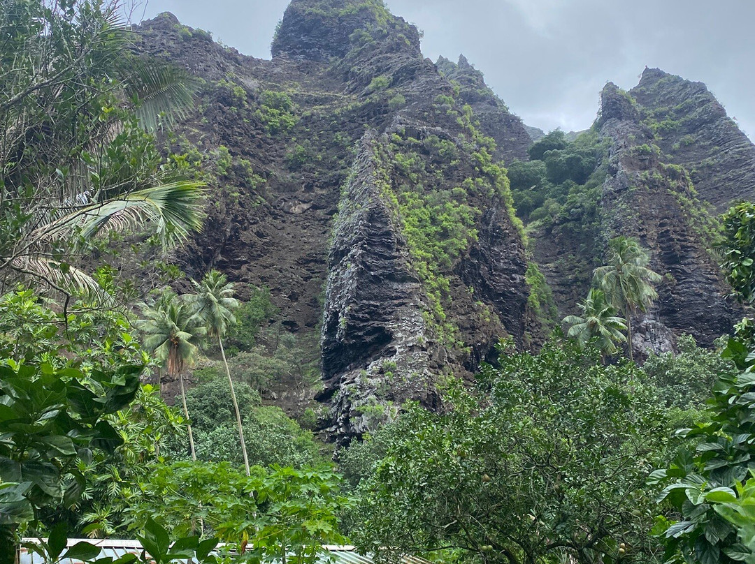 Mate Excursions Terre & Mer-Taiohae必去景点