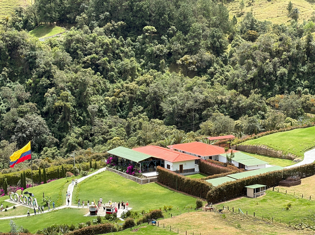 Valle del Cocora-萨伦托必去景点