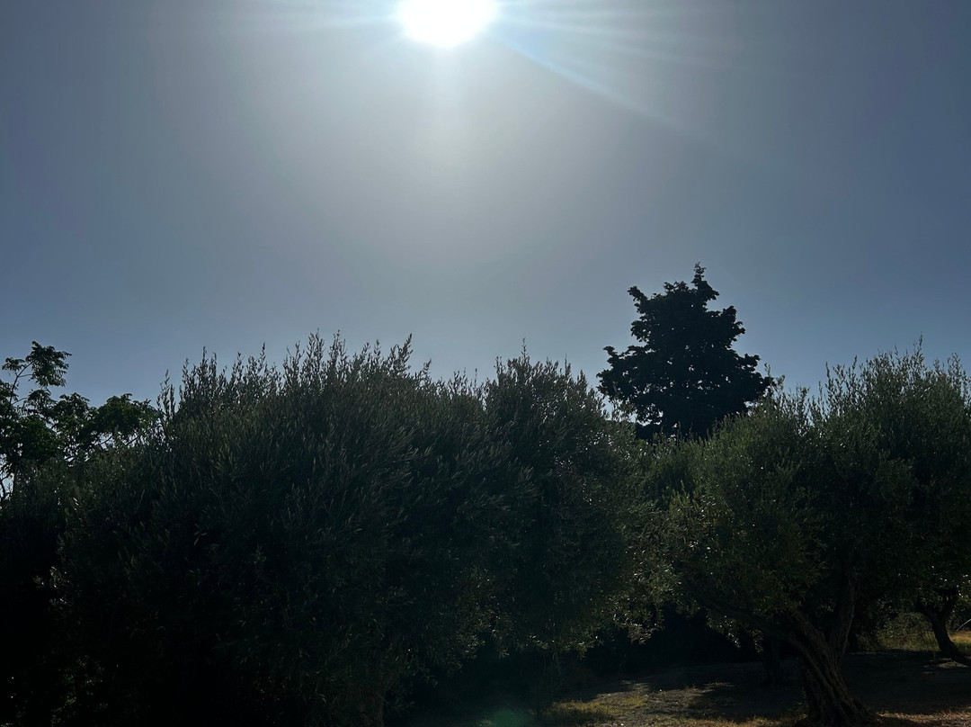 夏季景观酒店主图