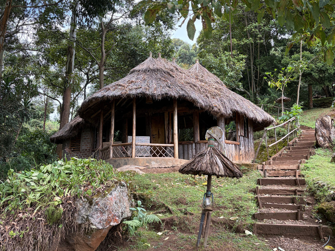 Grassrootz Adventures Uganda-坎帕拉必去景点