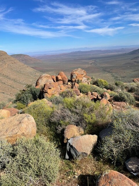 Tankwa Karoo National Park-Calvinia必去景点