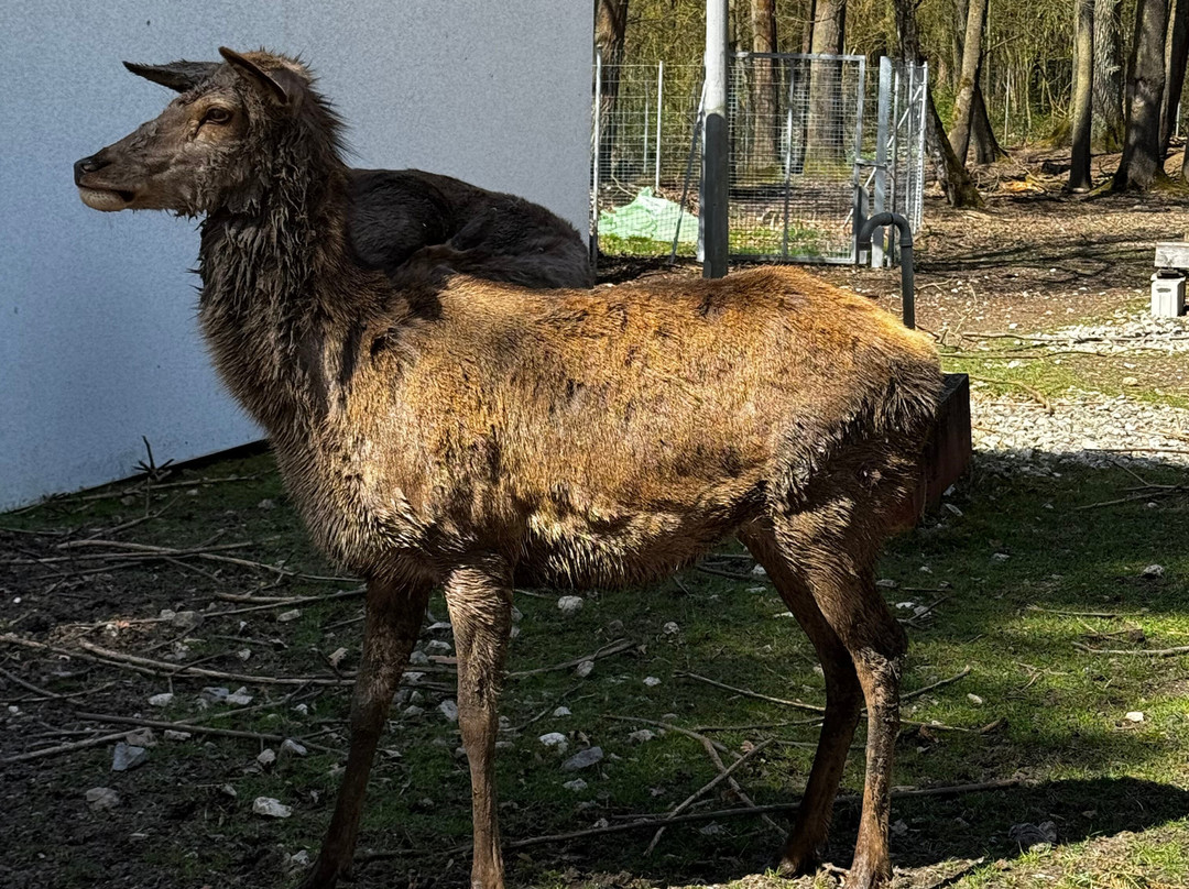 Wild- und Freizeitpark-Teublitz必去景点