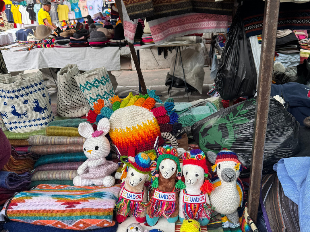 Mercado Artesania Otavalo-奥塔瓦洛必去景点