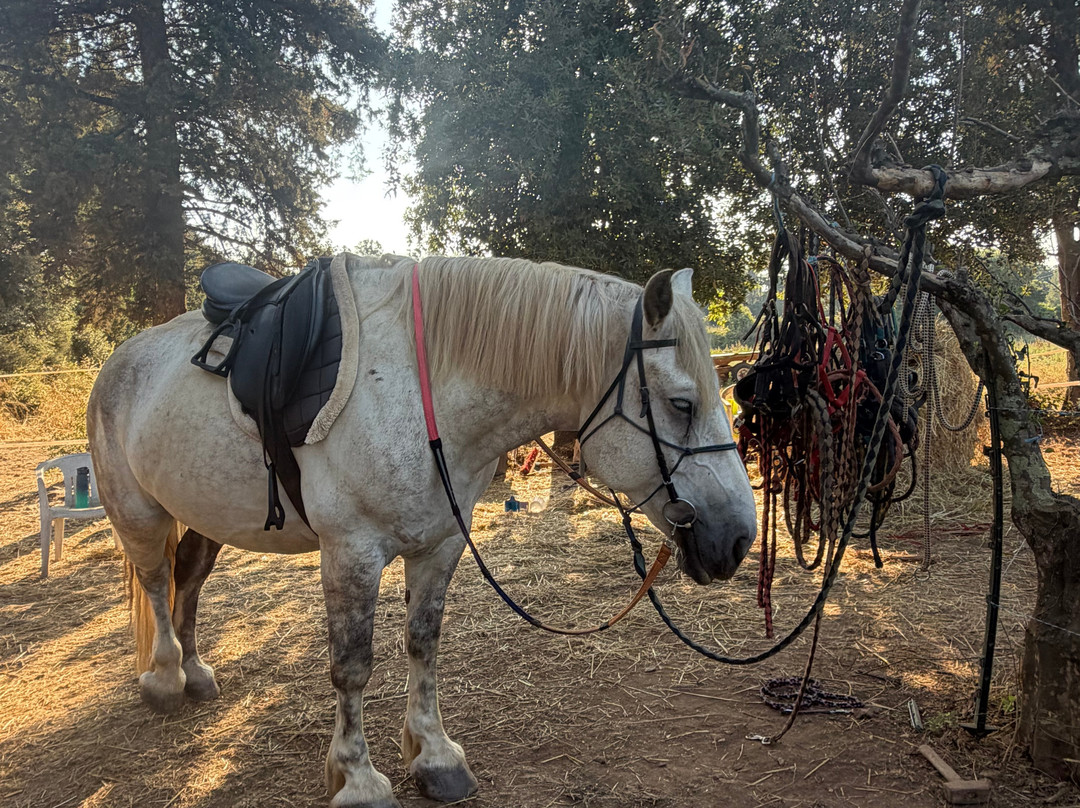 Aux Poneys d Eden-Canale-di-Verde必去景点