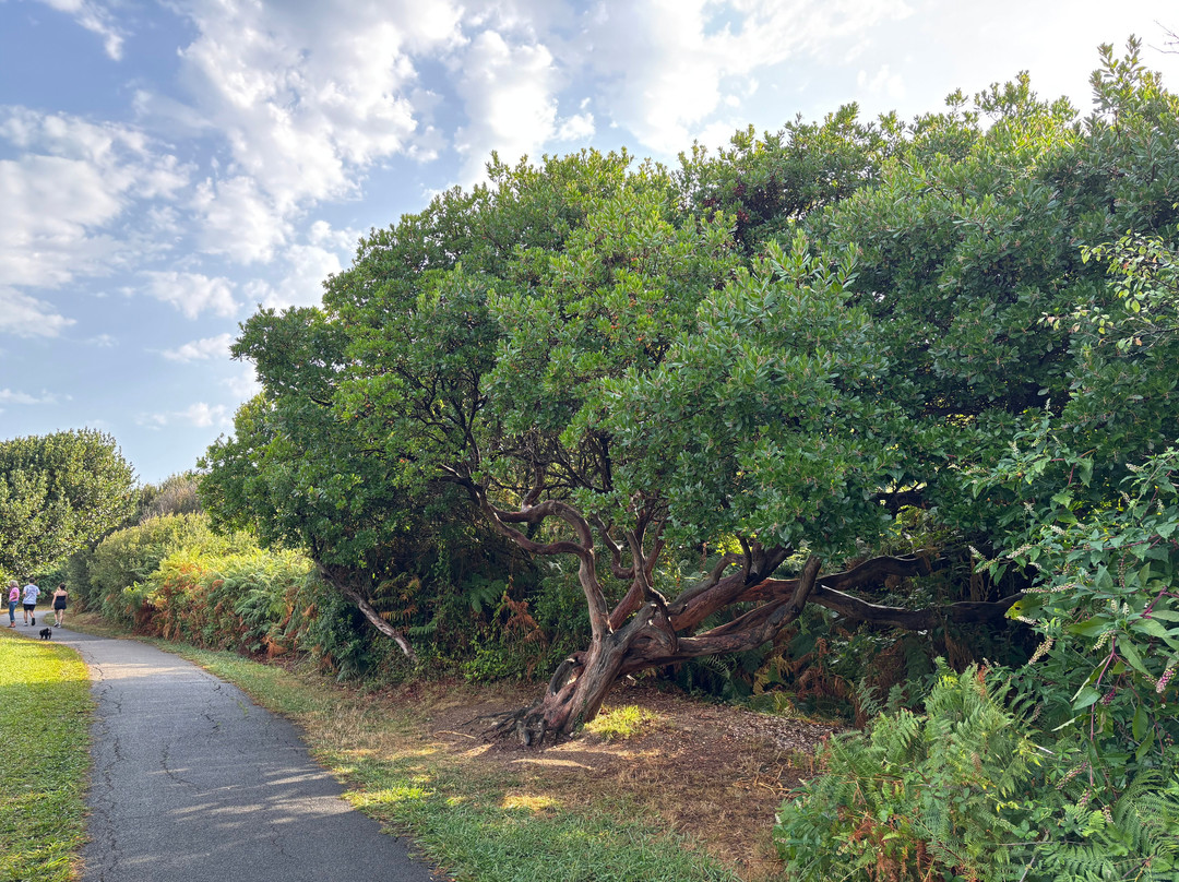 Sentier Du Littoral-圣尚德路斯必去景点