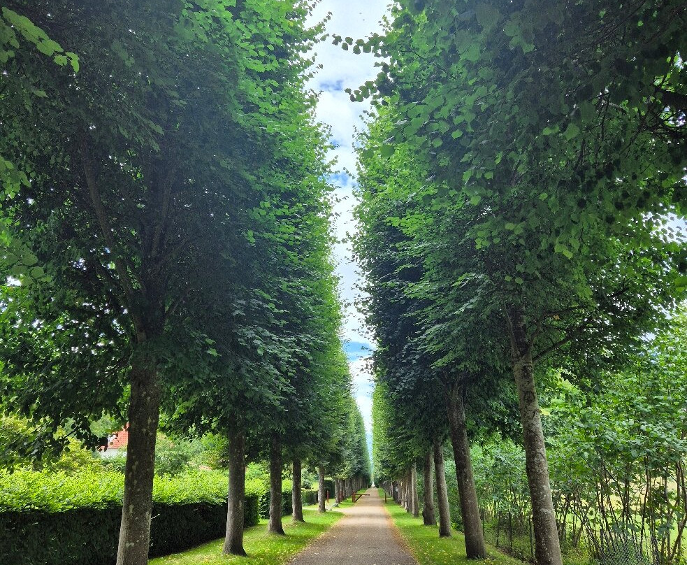 Fredensborg Palace-弗雷登斯堡必去景点
