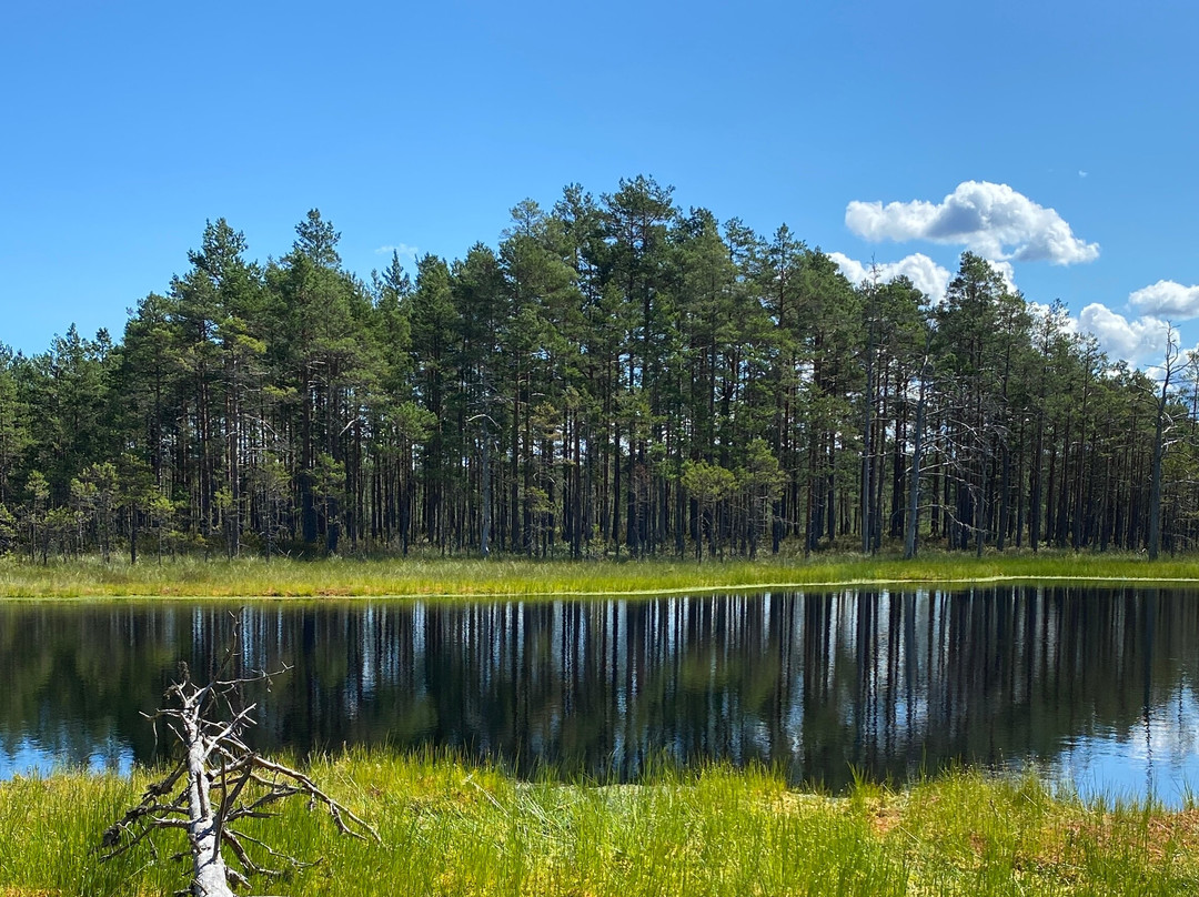Viru Bog Trail-Kolga必去景点