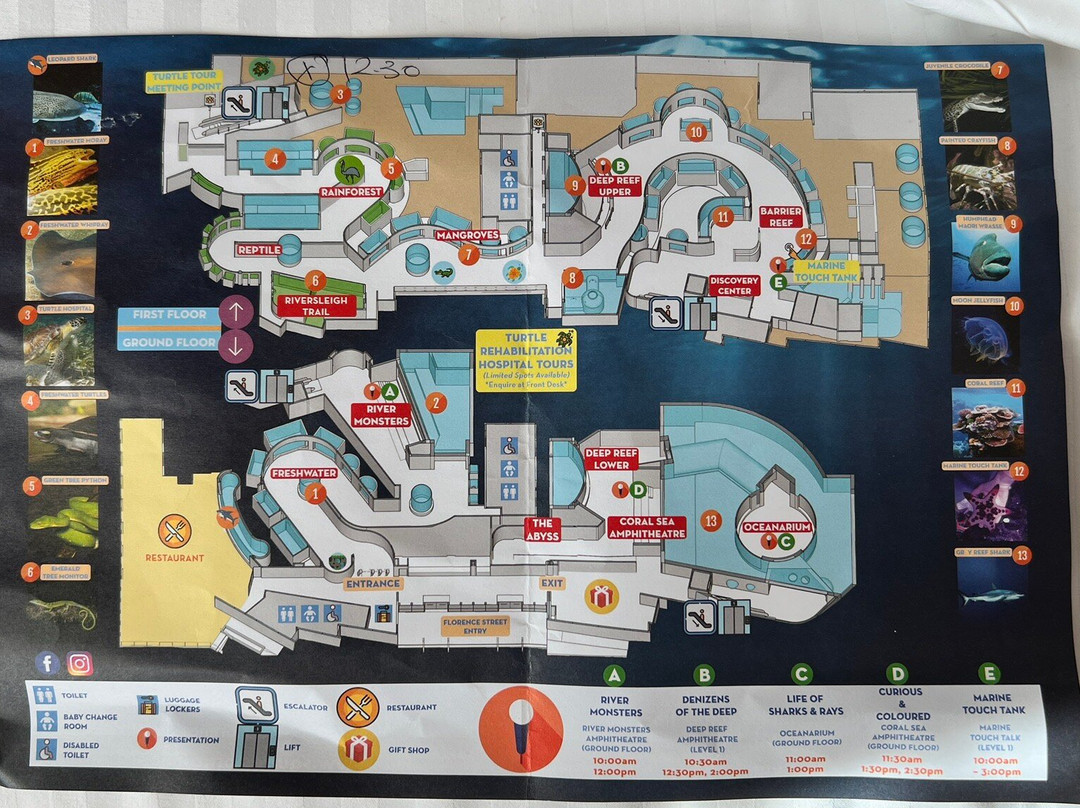 Cairns Aquarium-凯恩斯必去景点