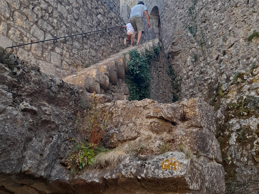 Chateau de Peyrepertuse-Duilhac-sous-Peyrepertuse必去景点