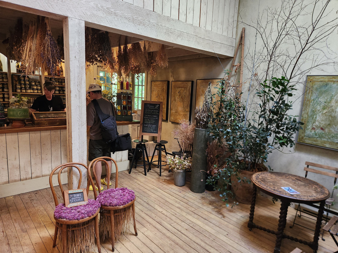 Tangled Garden-Grand Pre必去景点