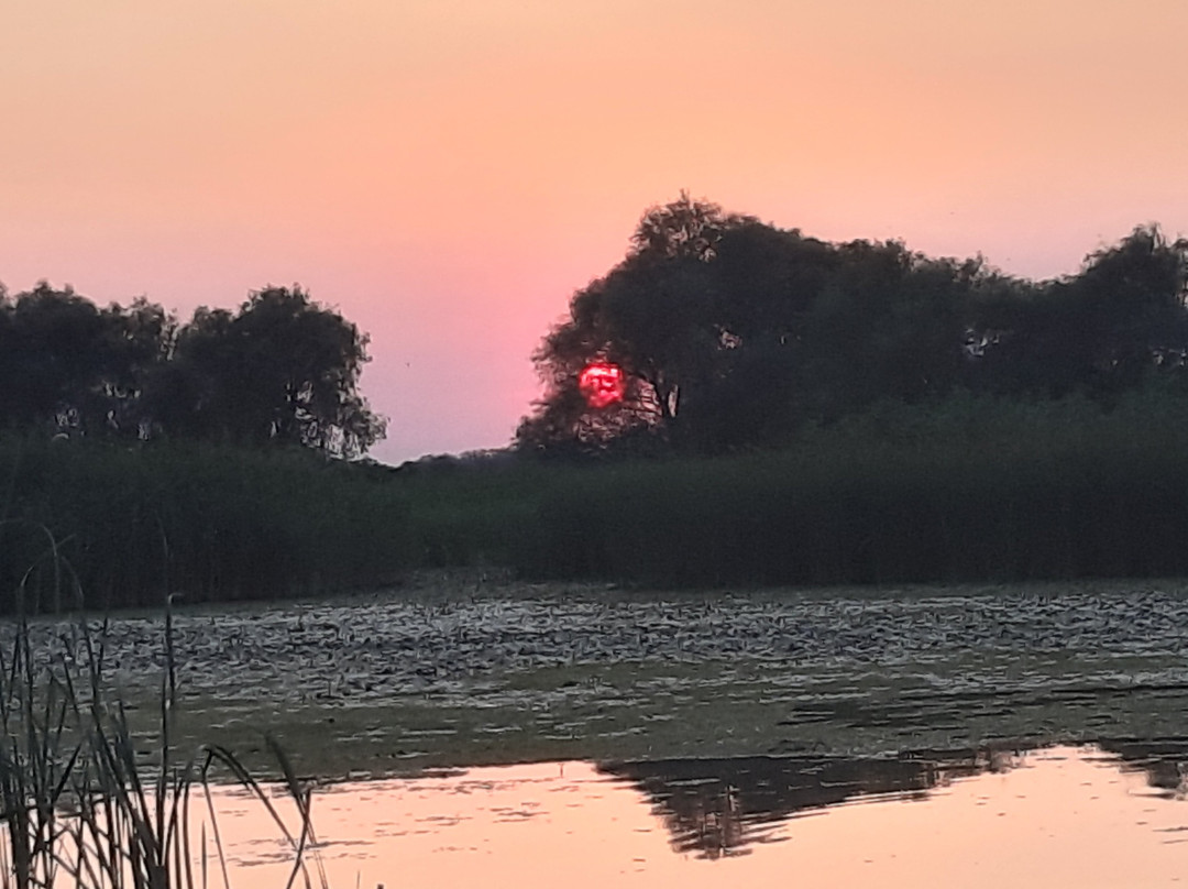 Tisza Lodge B&B - Panzio主图