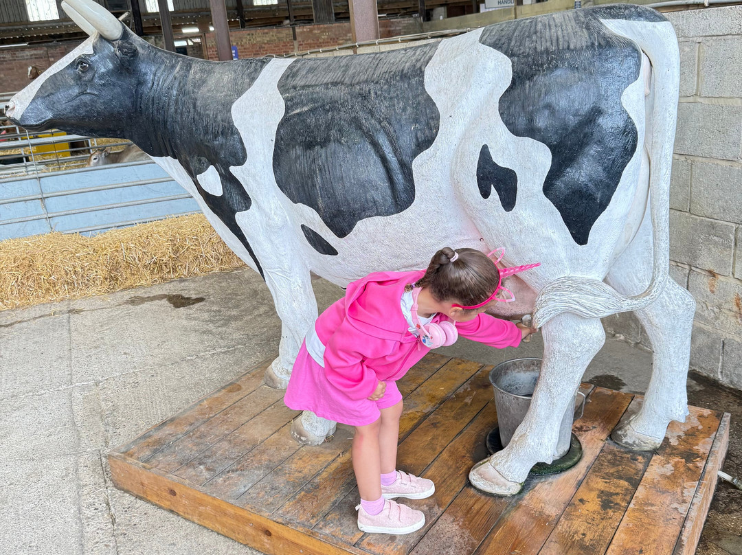 Playdale Farm Park-斯卡伯勒必去景点