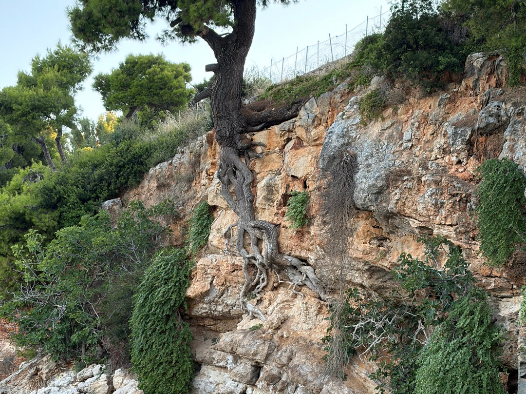 Paralia Rousoum Gialos-Alonnisos必去景点