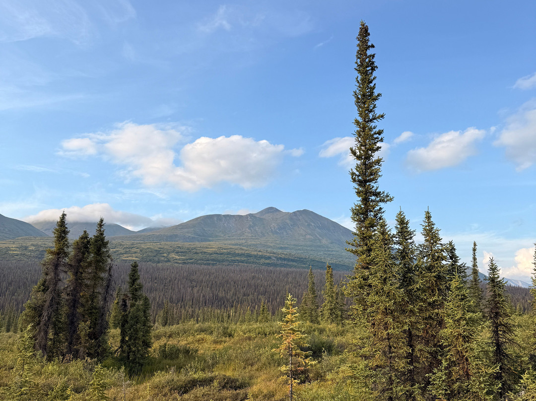Denali Fly Fishing Guides-坎特维尔必去景点