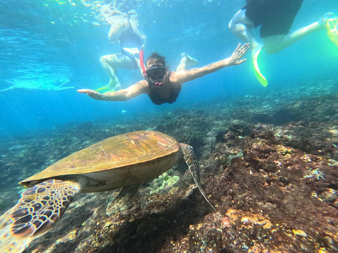 Lembongan Go Trip-克隆孔必去景点