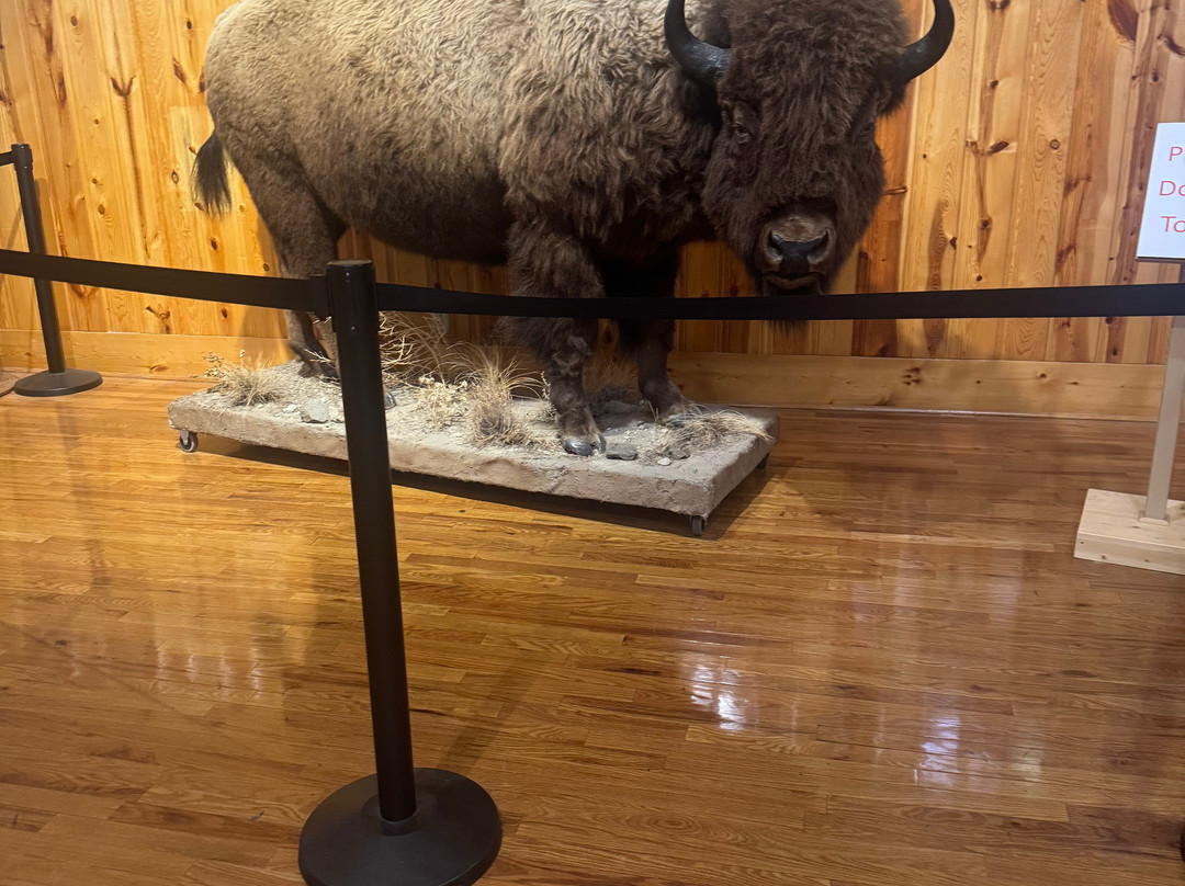 Crazy Horse Memorial-Crazy Horse必去景点