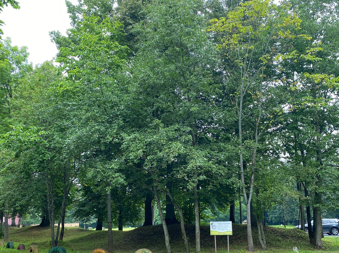 Park Romanovka-Kingisepp必去景点