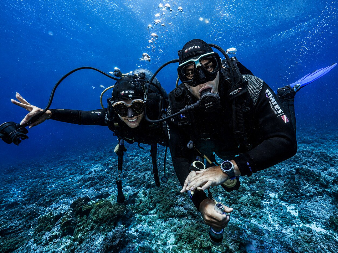ISSA Diving Center-Komiza必去景点