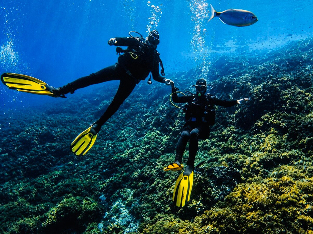 ISSA Diving Center-Komiza必去景点