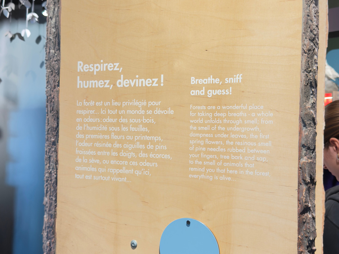 Espace Musée de Vaujany-Vaujany必去景点