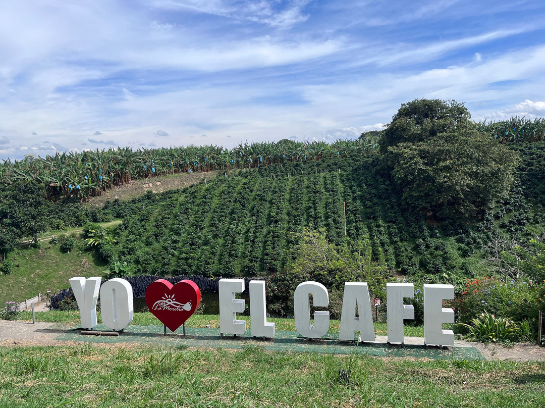 Café La Morelia-El Caimo必去景点