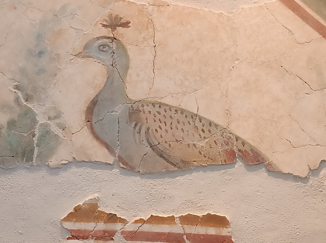 Civic Archaeological Museum Giovanni Patroni-普拉必去景点