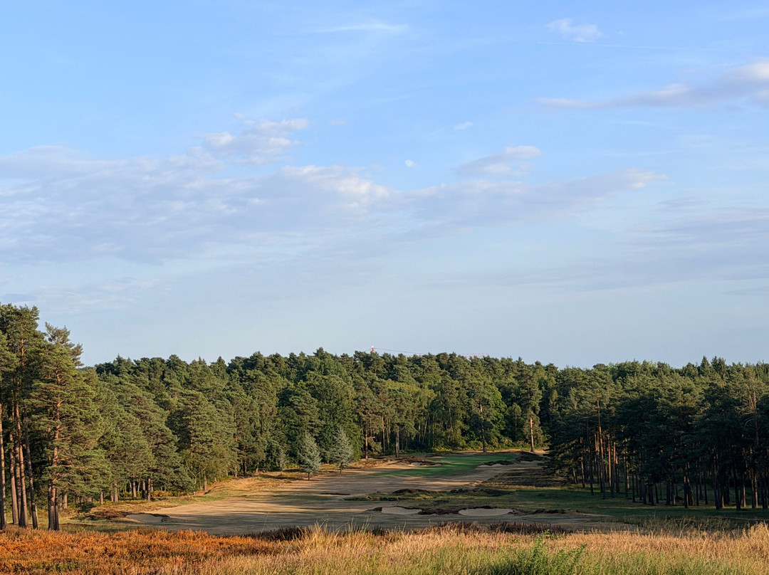 Swinley Forest Golf Club-Ascot必去景点