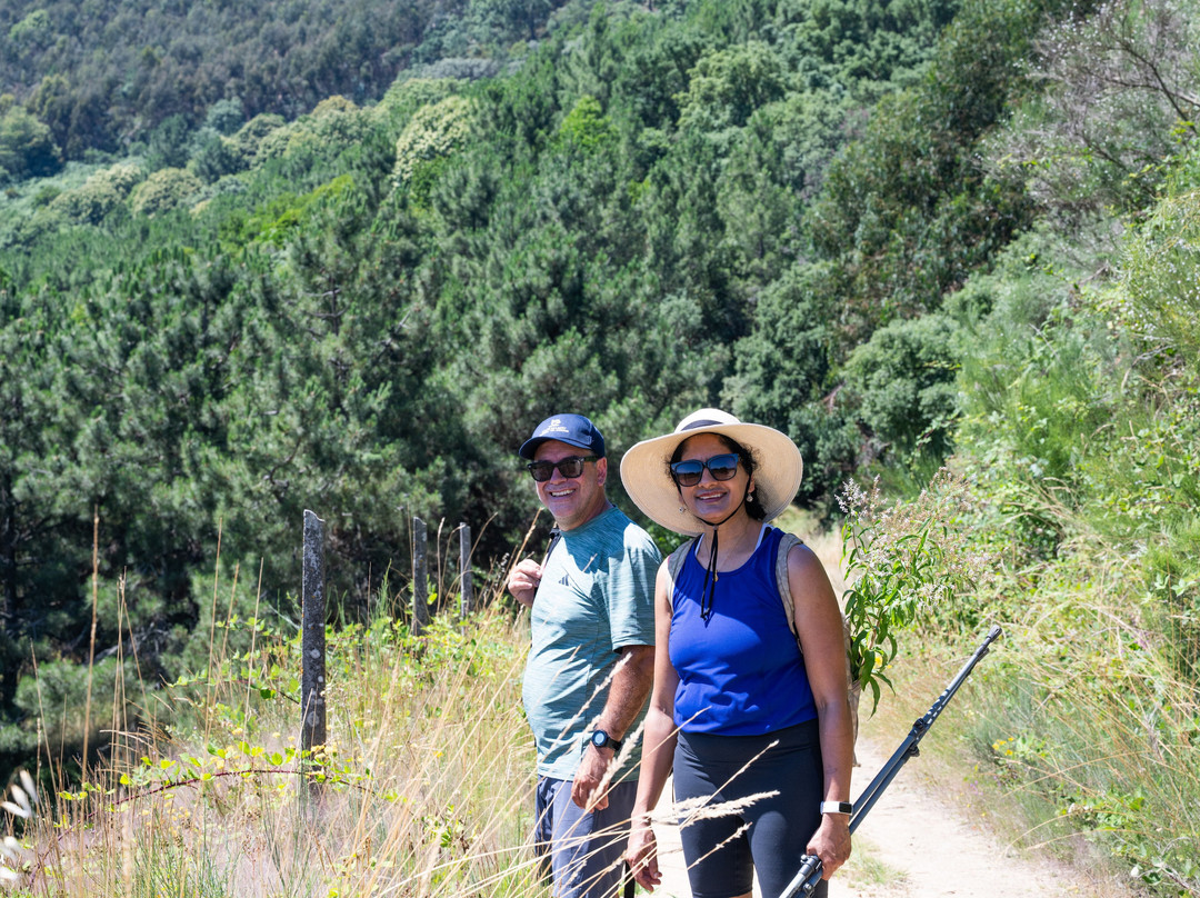 Douro Walks-Ervedosa do Douro必去景点