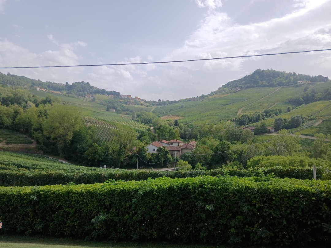Costa di Bussia - Tenuta Arnulfo-蒙福特-达尔巴必去景点