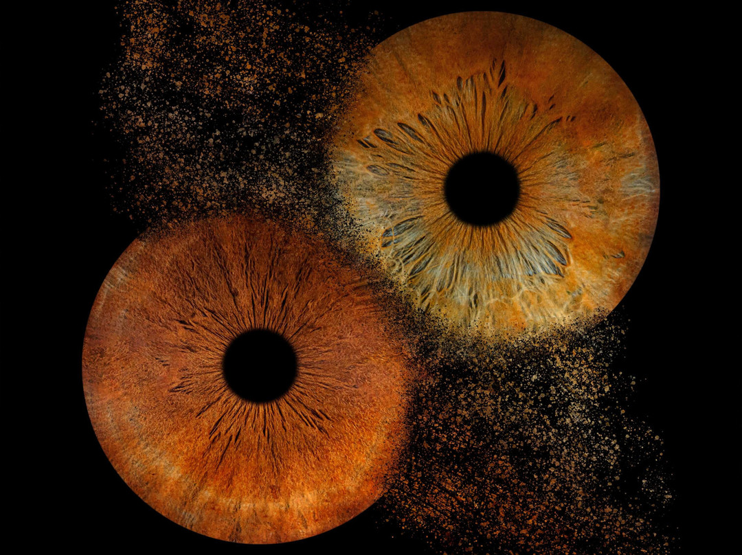 Iris Galerie Arnhem-阿纳姆必去景点