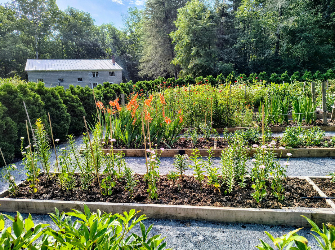 Eleanor Roosevelt National Historic Site-海德公园必去景点