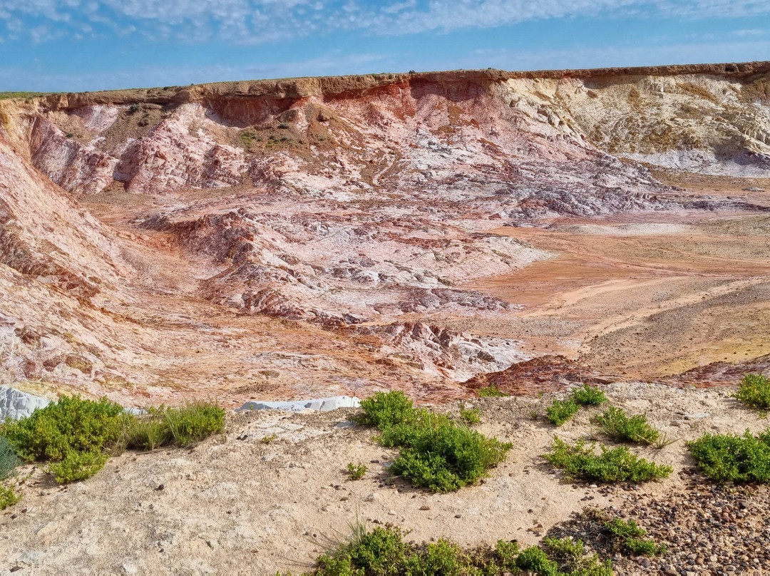 Gekko Safari - Outback Tours-Belair必去景点