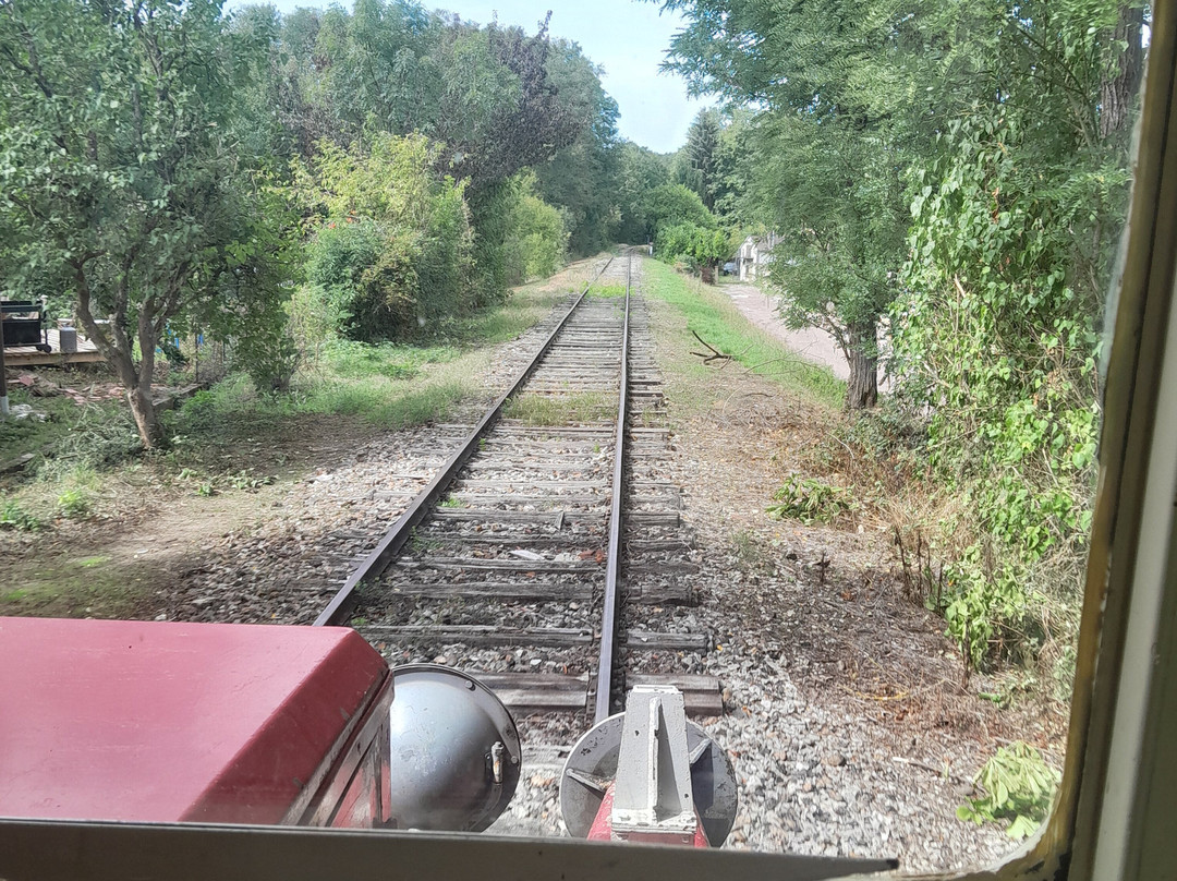 Train Touristique du Pays de Puisaye Forterre-Toucy必去景点