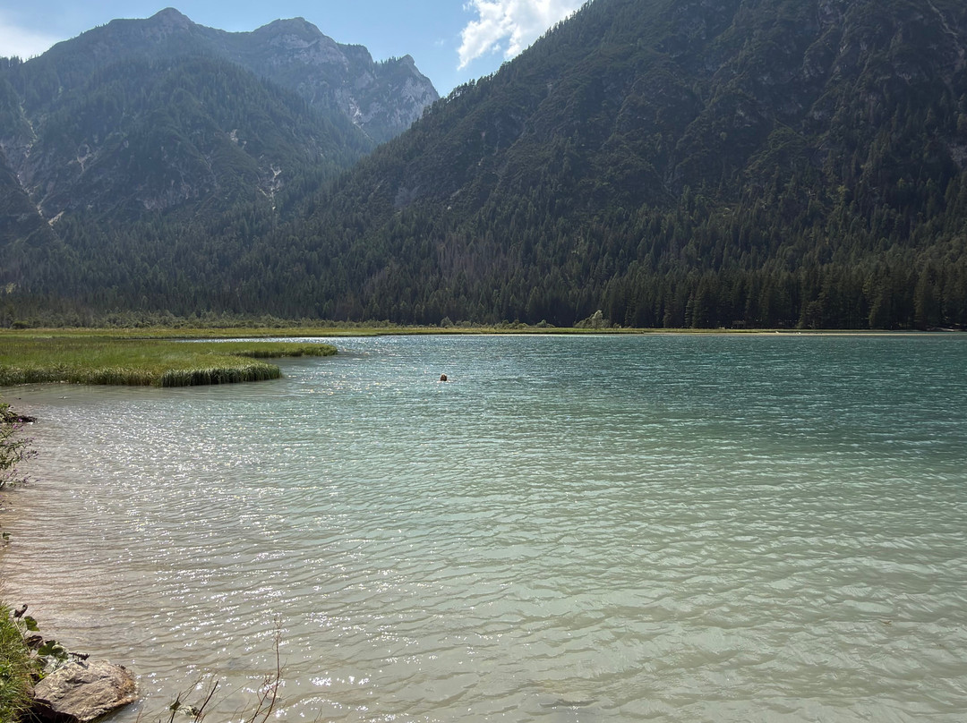 Lago di Dobbiaco-多比亚科必去景点