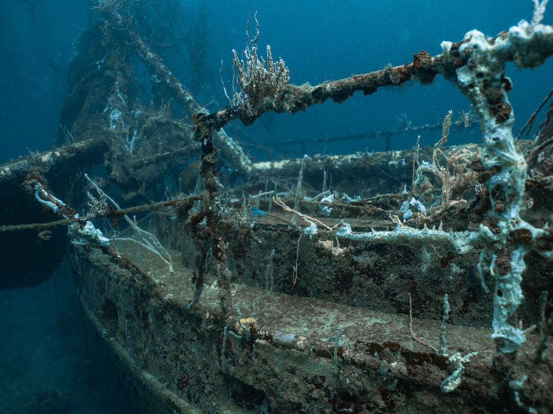 Bocas Dive Center-博卡斯镇必去景点