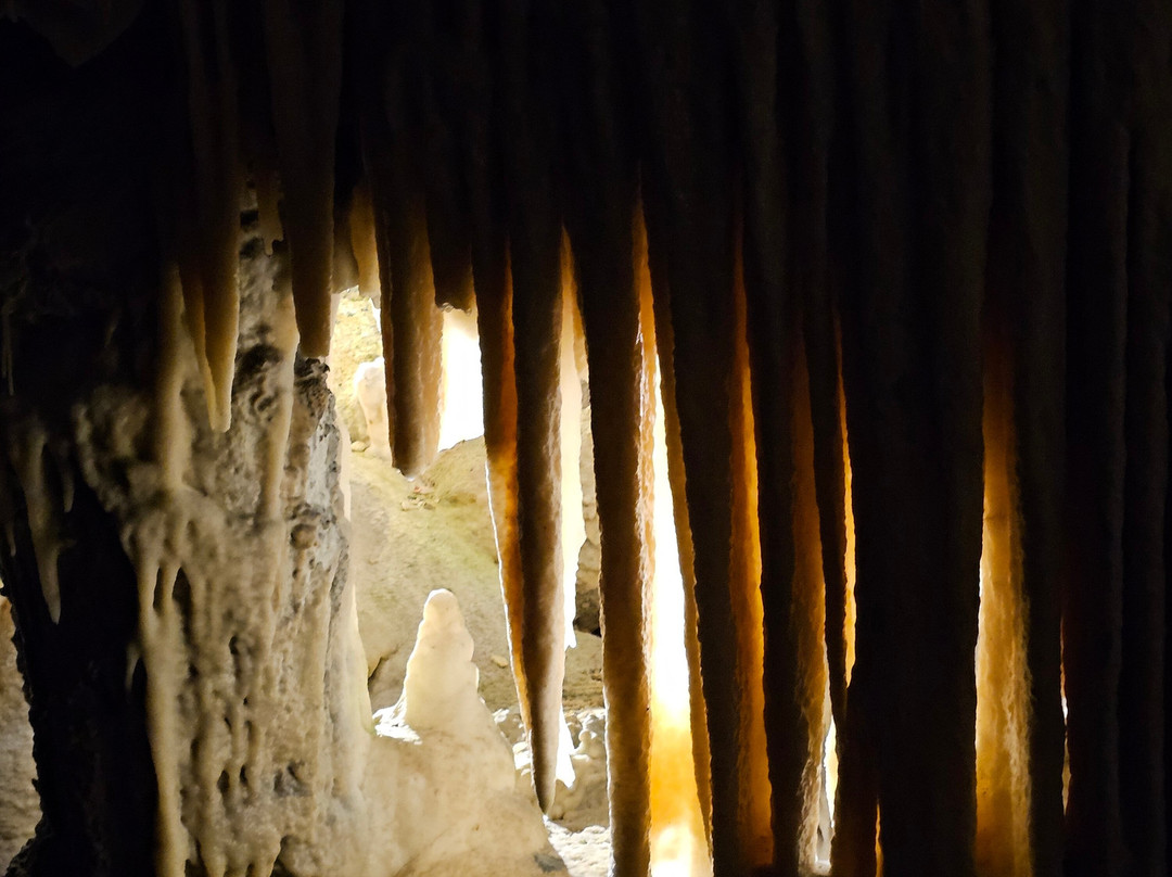Postojna Cave-波斯托伊纳必去景点