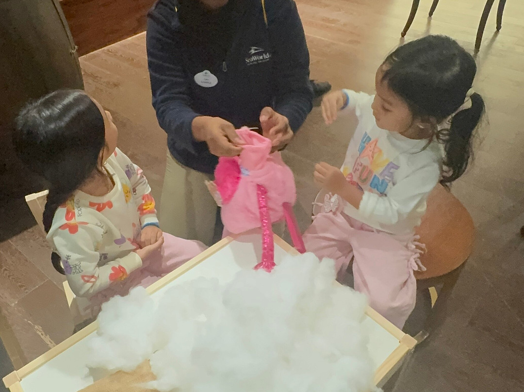 SeaWorld Yas Island Abu Dhabi-阿布扎比必去景点