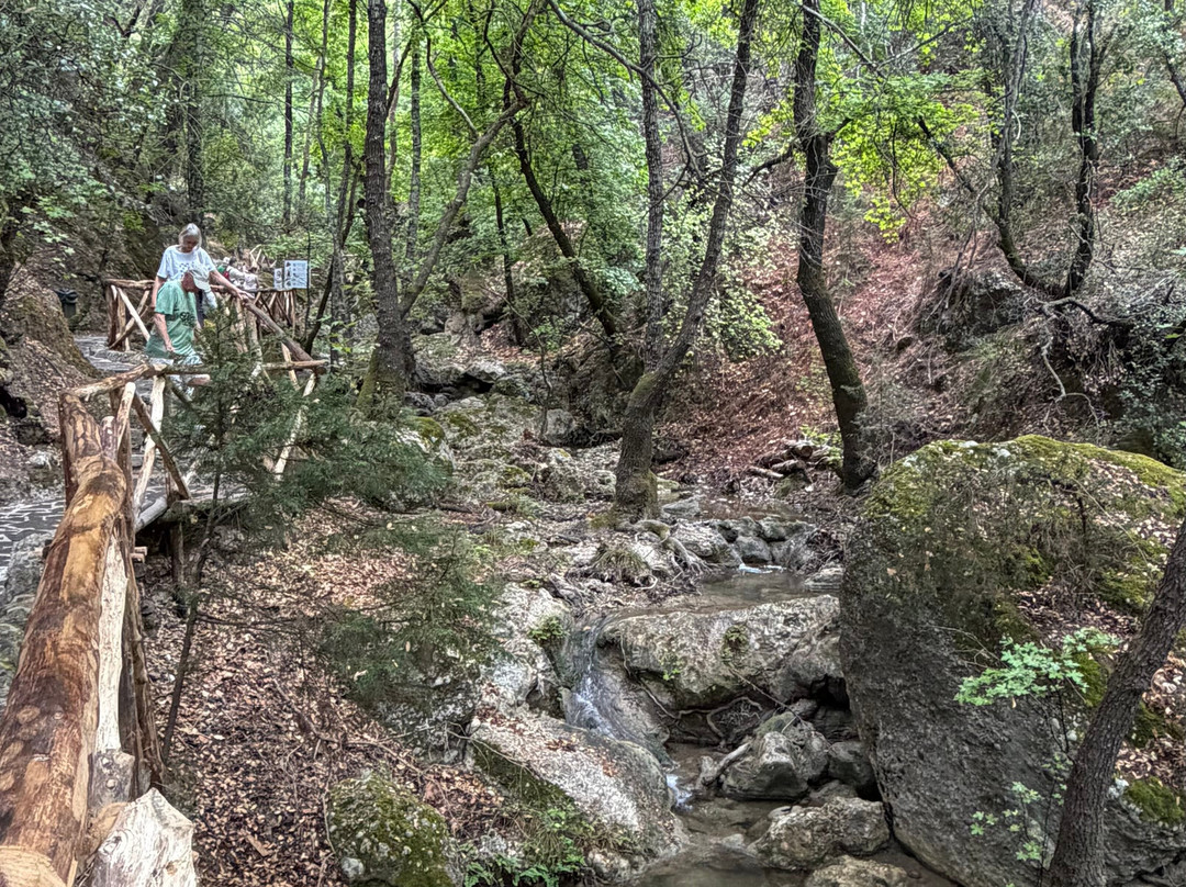 Valley of the Butterflies-Petaloudes必去景点