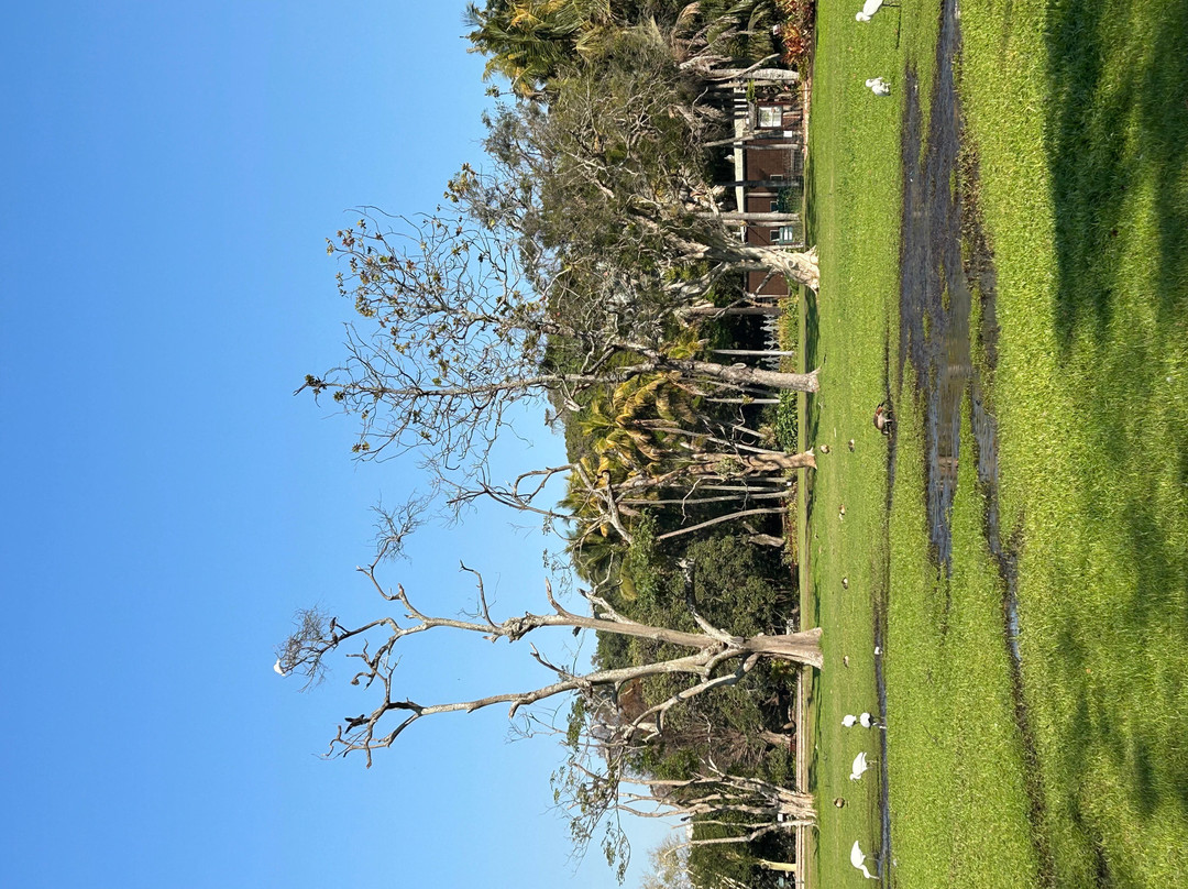 Durban Botanic Gardens-德班必去景点