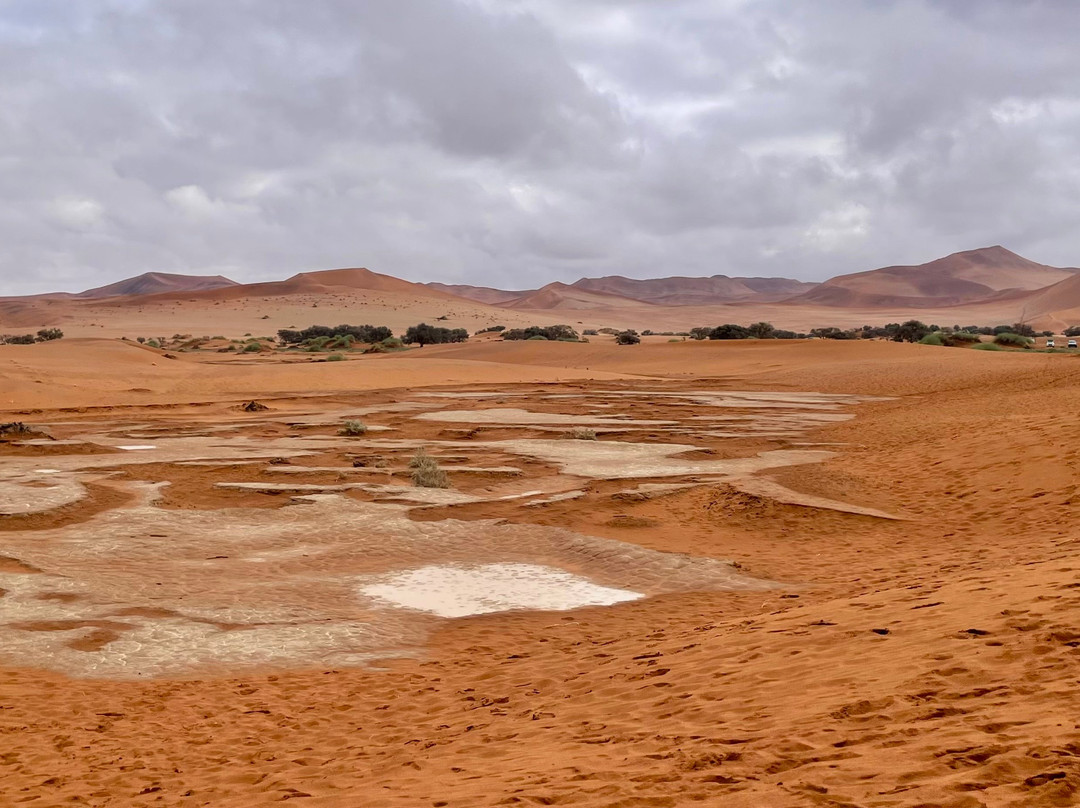 Deadvlei-苏丝斯黎必去景点