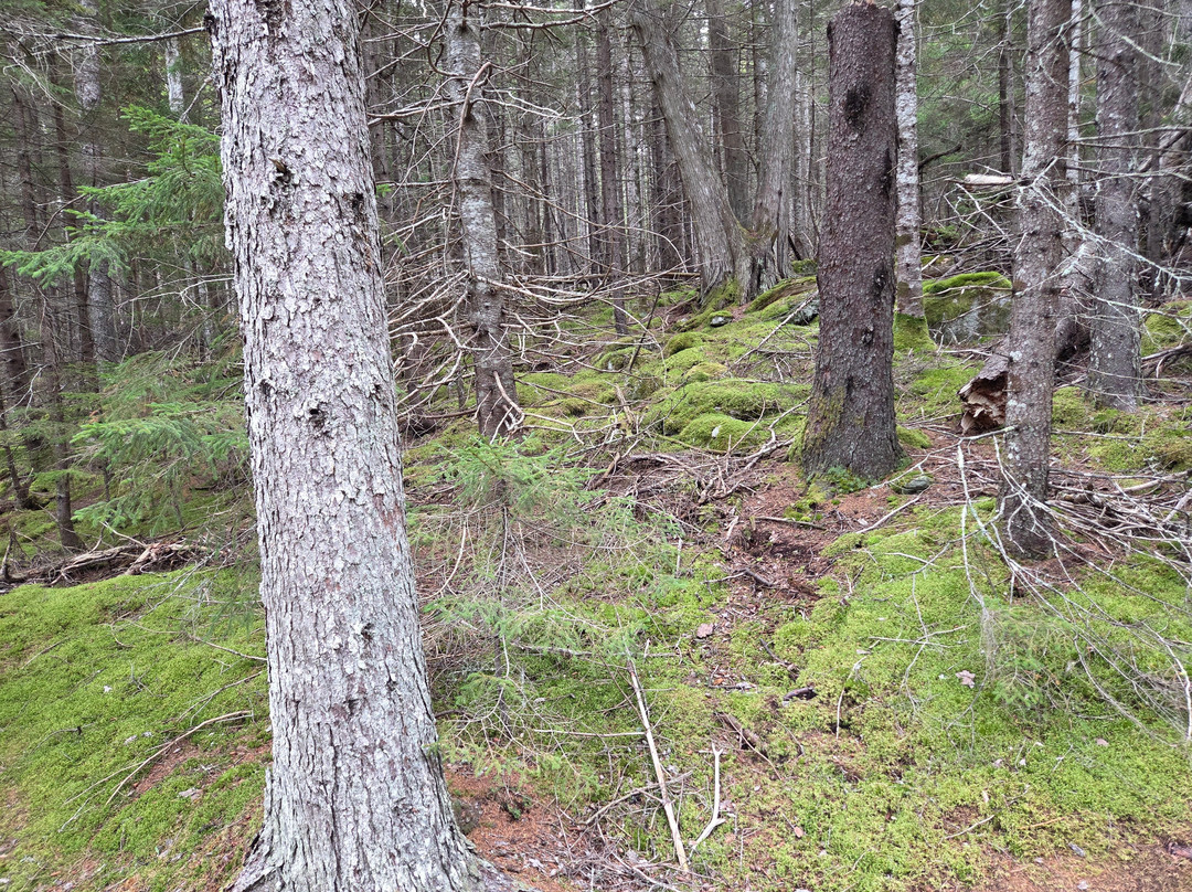 Indian Point Blagden Preserve-山漠岛必去景点
