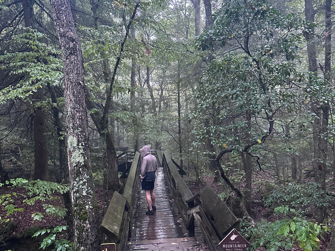 Beartown State Park-Renick必去景点