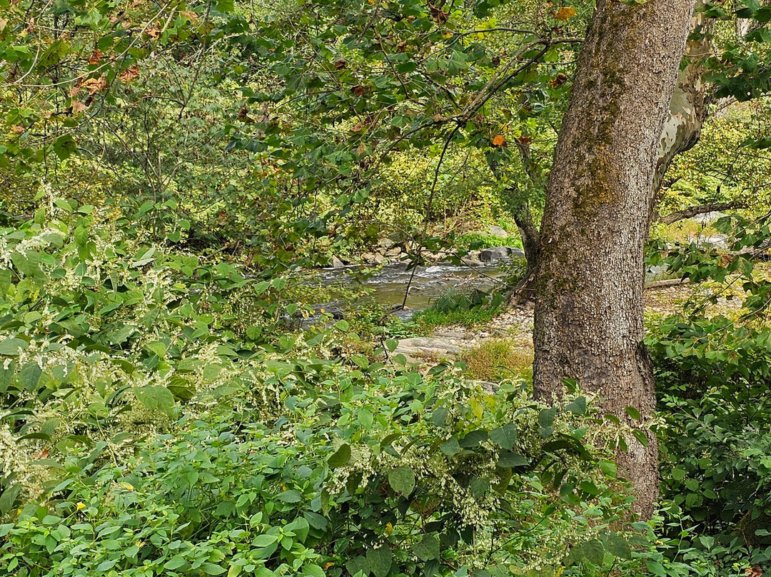 Little Gunpowder Falls Bridge-White Marsh必去景点