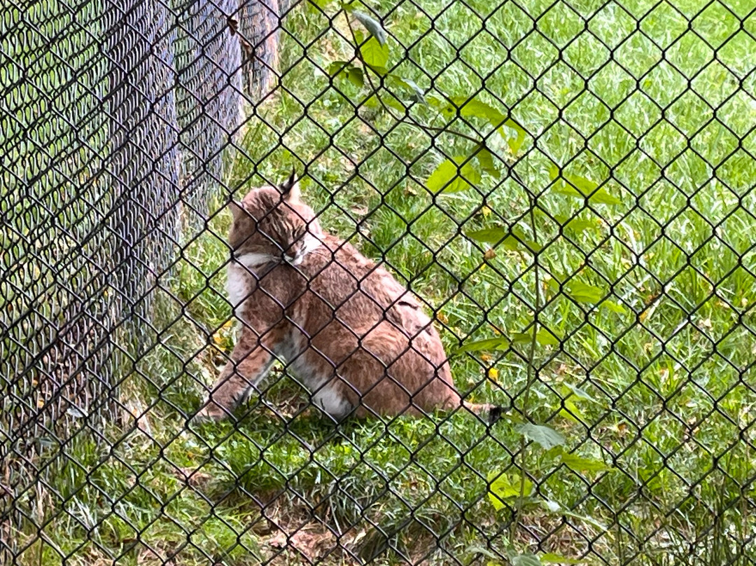 Shubenacadie Wildlife Park-舒贝纳卡迪必去景点