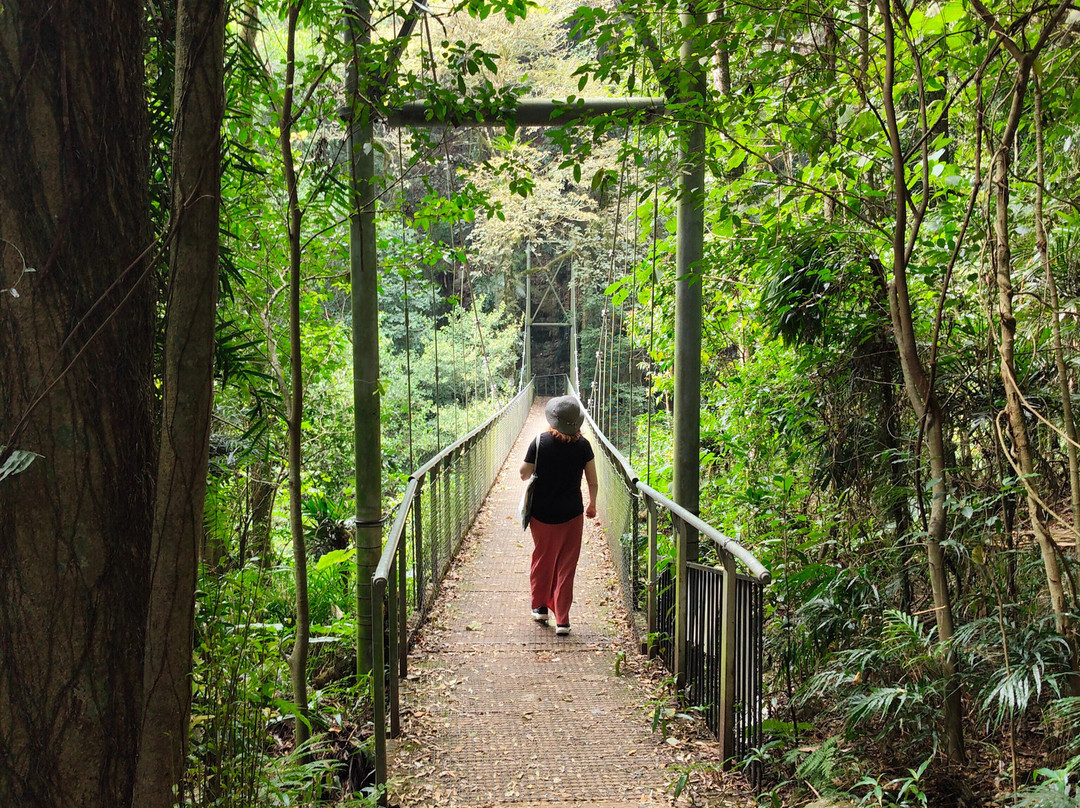 Waterfall Way-阿米代尔必去景点