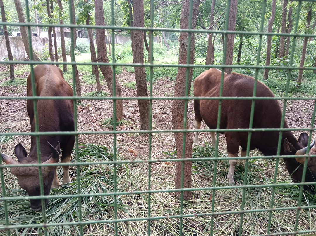 Birsa Zoological Park-兰契必去景点